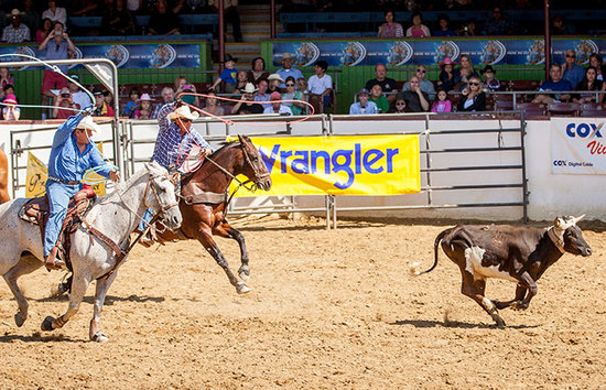 Fiesta Stock Horse Show & Rodeo (Competencia De Los Vaqueros)/ 8am