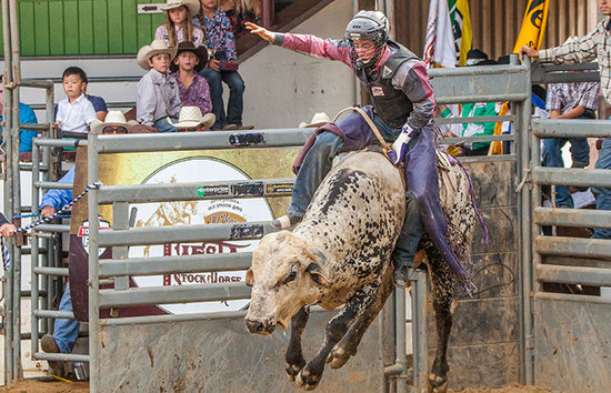 Professional Bull Riders (PBR)/ 7:00pm