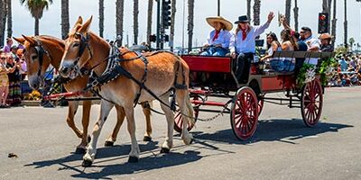 fiesta-parade-420x200
